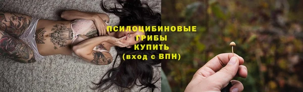 сатива Алексин
