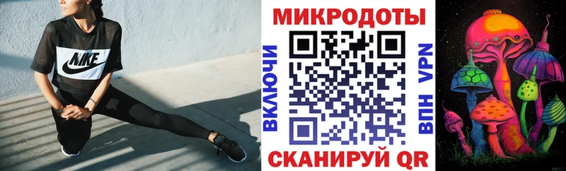 Псилоцибиновые грибы GOLDEN TEACHER  где продают наркотики  Аргун 